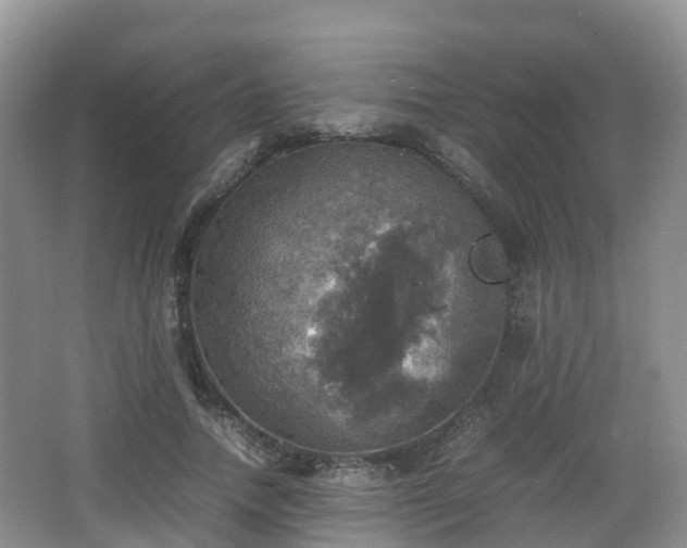 X0000067890738200604171336