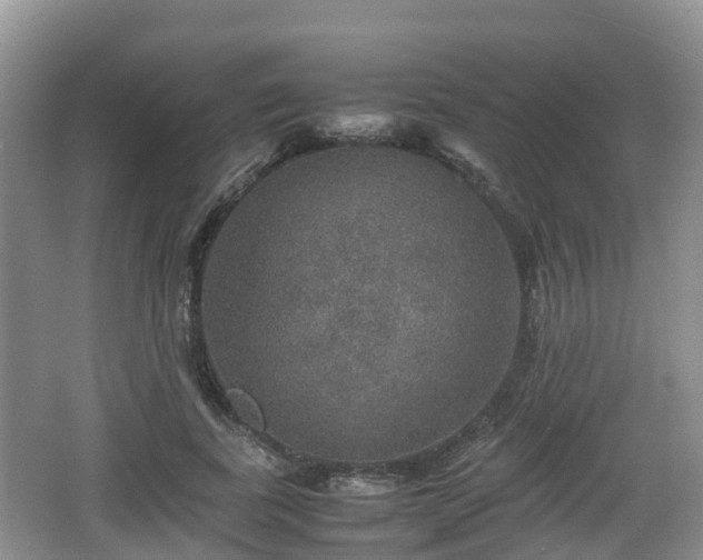 X0000067890739200604171336