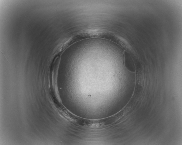 X0000067890740200604171336