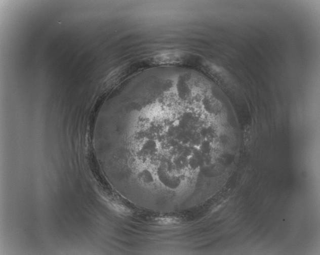 X0000067890741200604171336