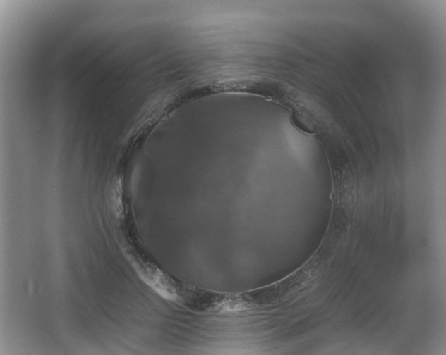 X0000067890742200604171336