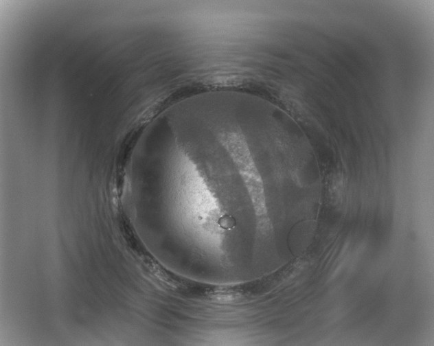 X0000067890746200604171337