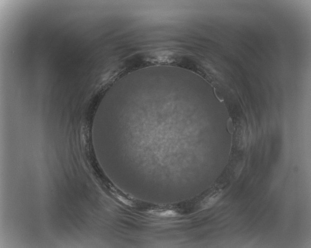 X0000067890747200604171337