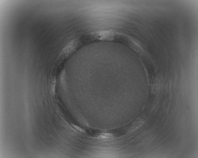 X0000067890748200604171337