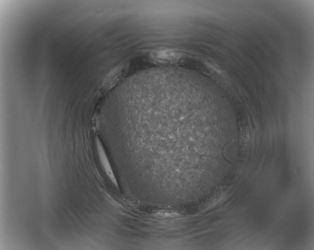 X0000067890749200604171337