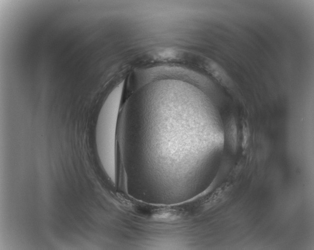 X0000067890750200604171337