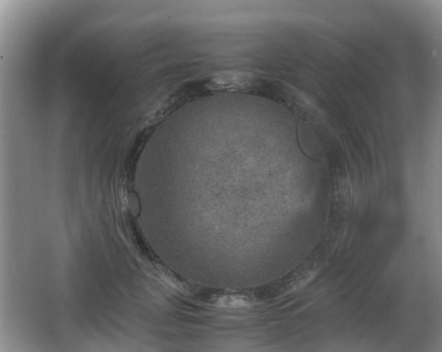 X0000067890751200604171337