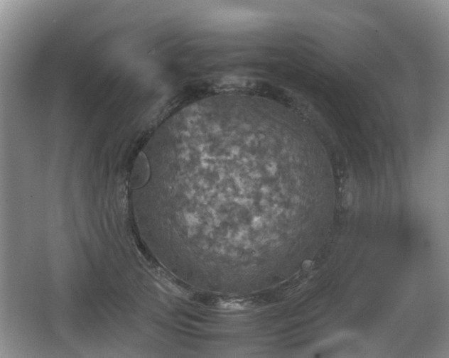 X0000067890753200604171337