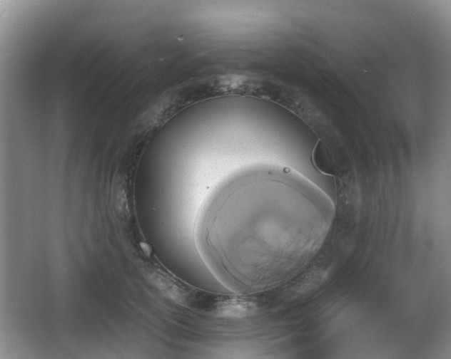 X0000067890754200604171337