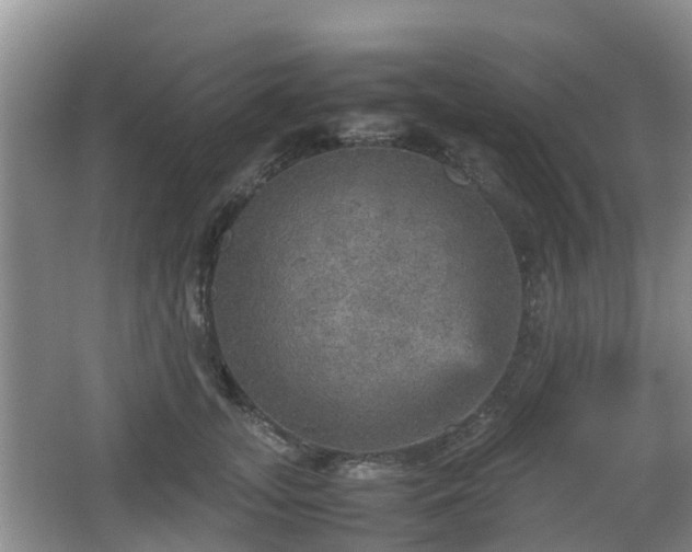 X0000067890755200604171337