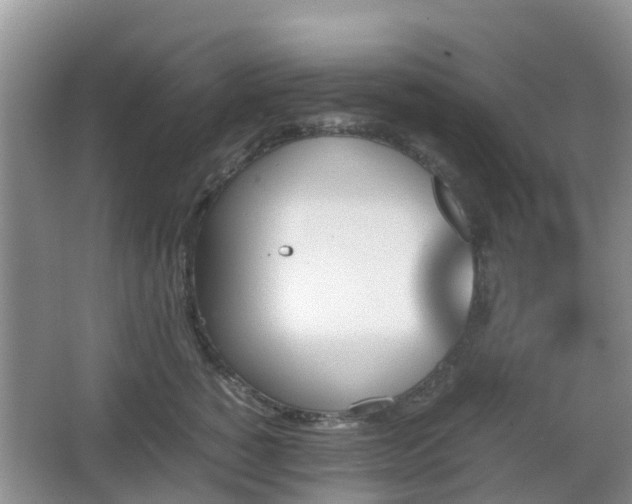 X0000067890760200604171337