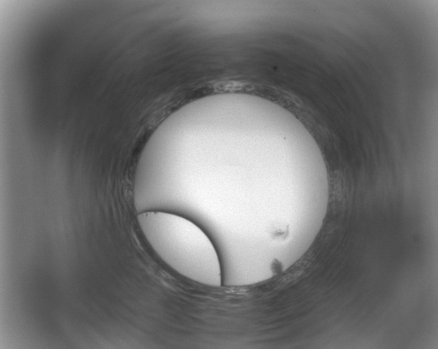 X0000067890761200604171337