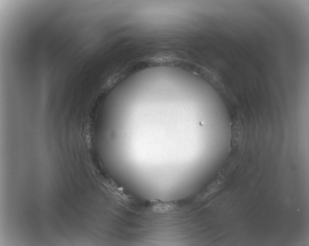 X0000067890762200604171337