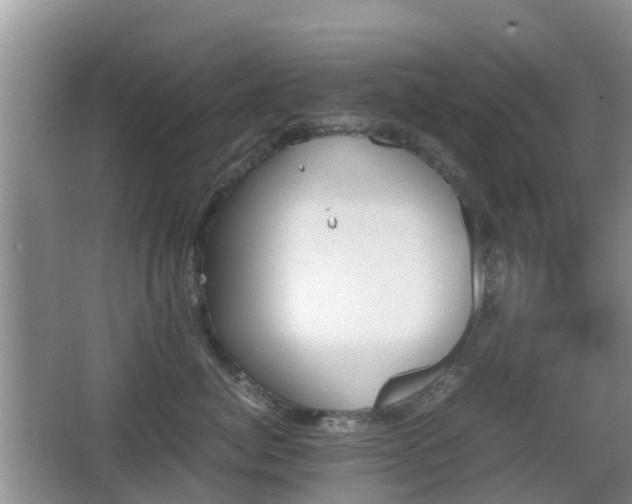 X0000067890764200604171337