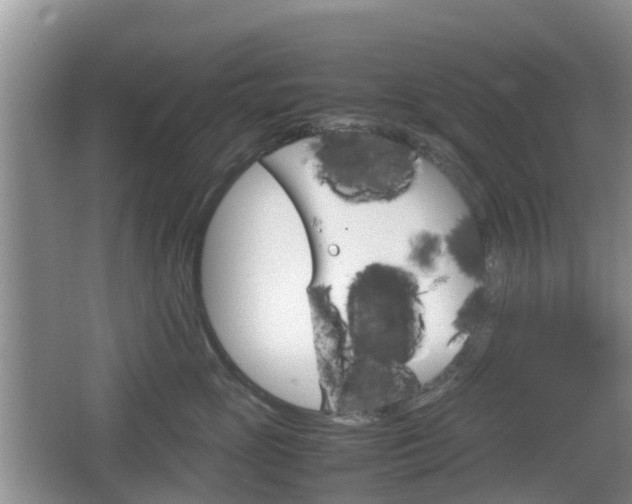 X0000067890765200604171337