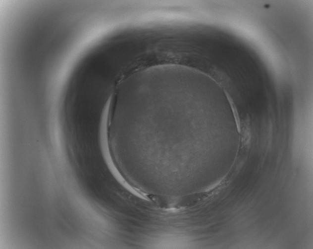 X0000067890766200604171337