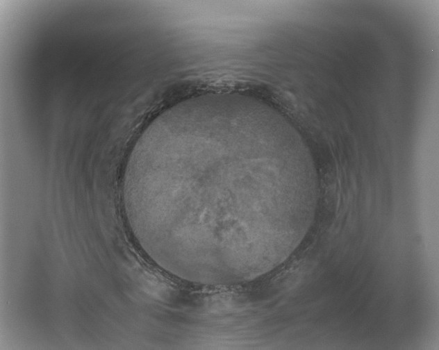 X0000067890769200604171336