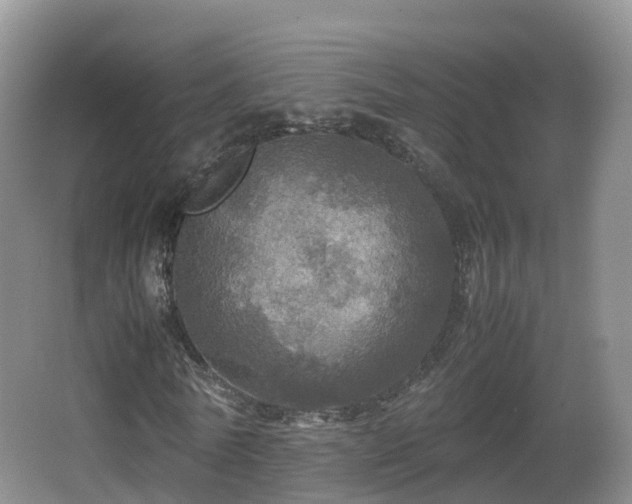 X0000067890770200604171336