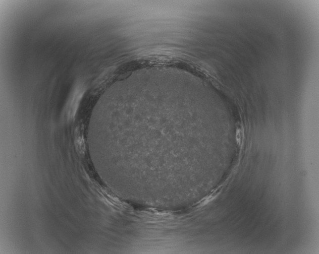 X0000067890771200604171336