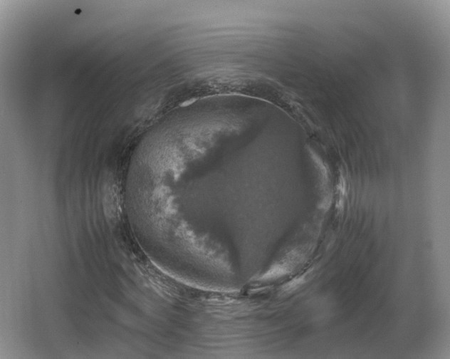 X0000067890772200604171336