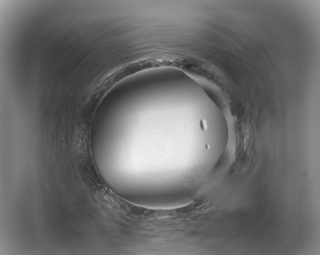 X0000067890773200604171336