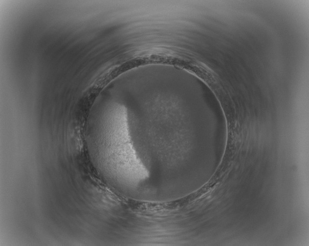 X0000067890774200604171336