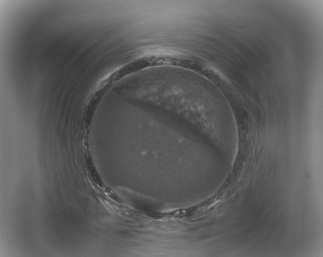 X0000067890775200604171336