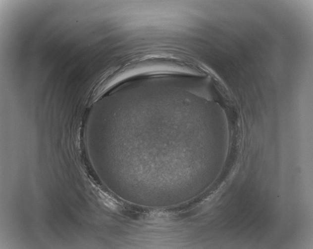 X0000067890777200604171336