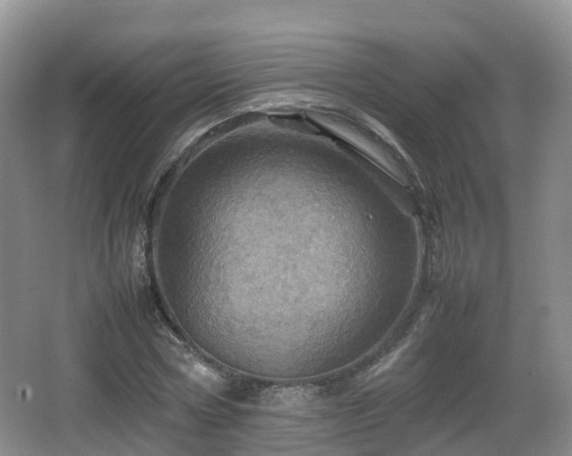 X0000067890778200604171336