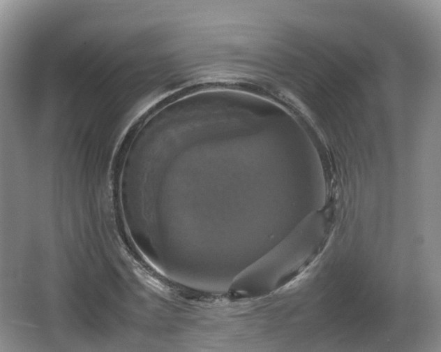 X0000067890779200604171336