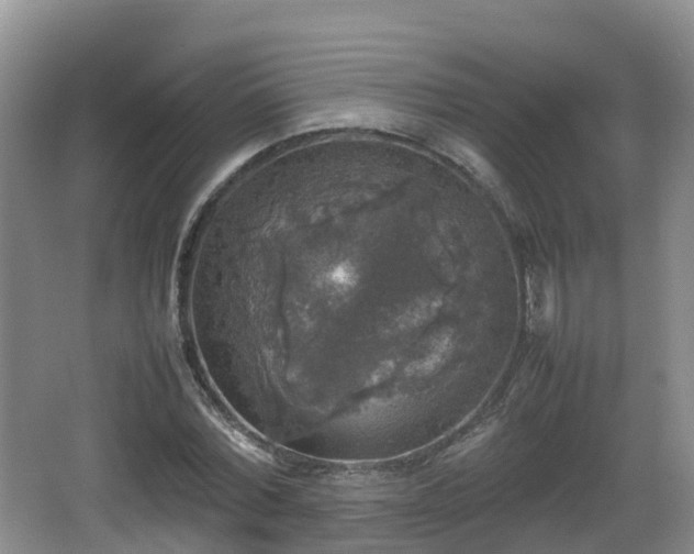 X0000067890780200604171336