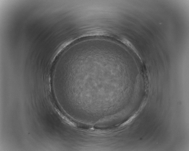 X0000067890781200604171336