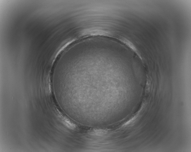 X0000067890782200604171336