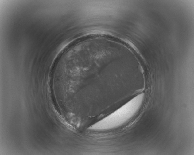 X0000067890783200604171336