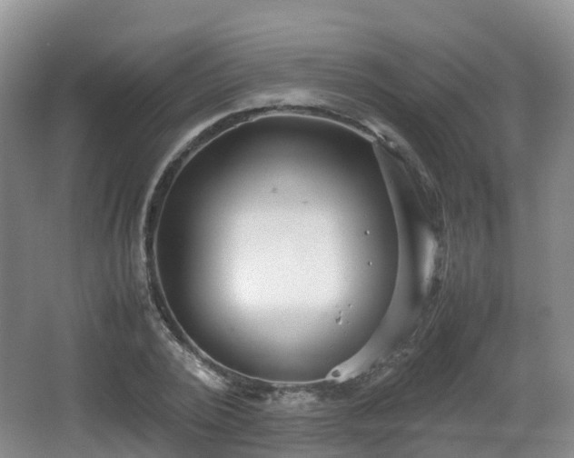 X0000067890784200604171336