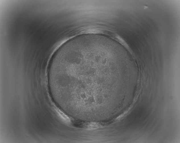 X0000067890787200604171336