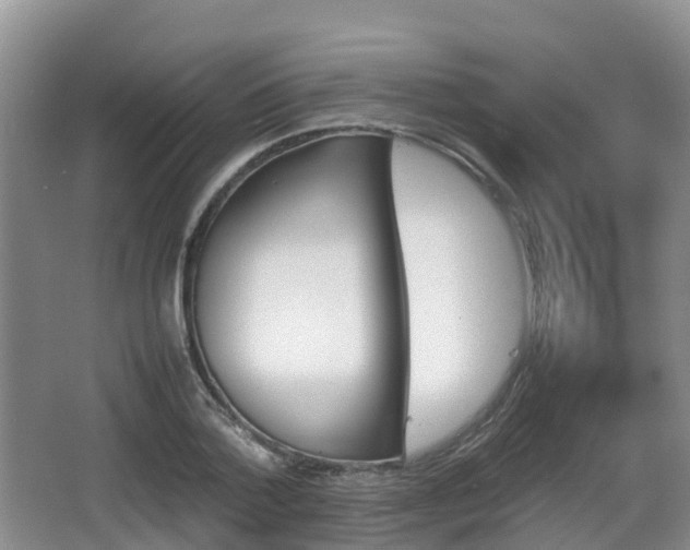 X0000067890788200604171336