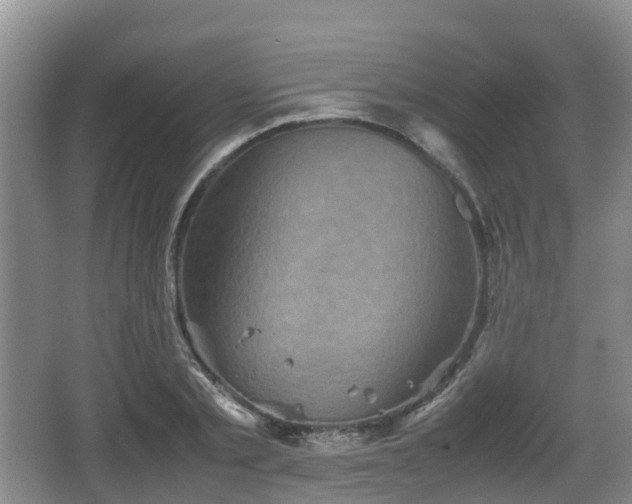 X0000067890789200604171336