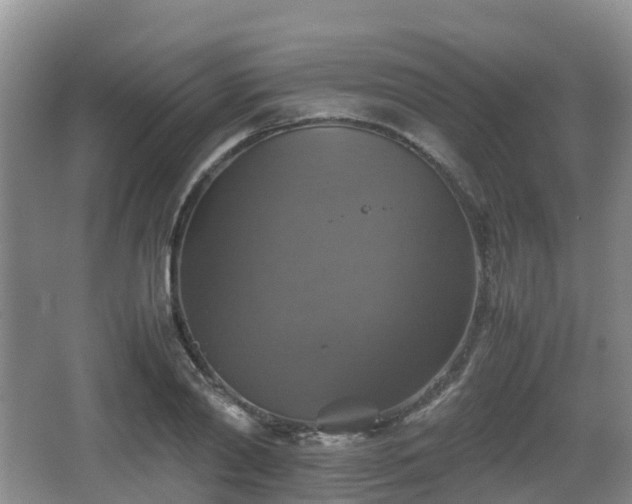 X0000067890790200604171336