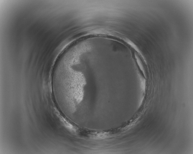 X0000067890791200604171336