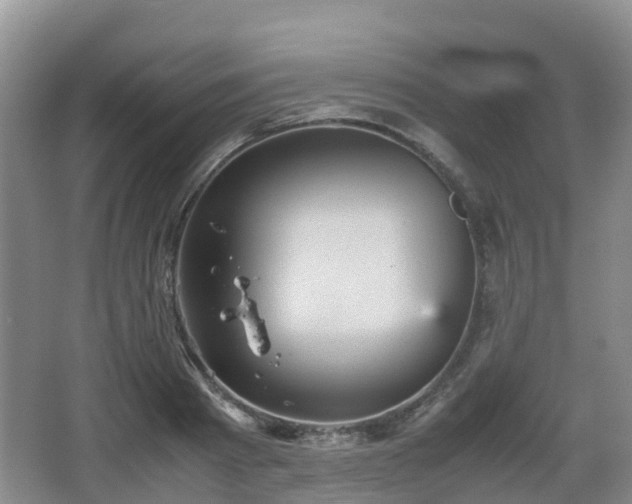 X0000067890793200604171336