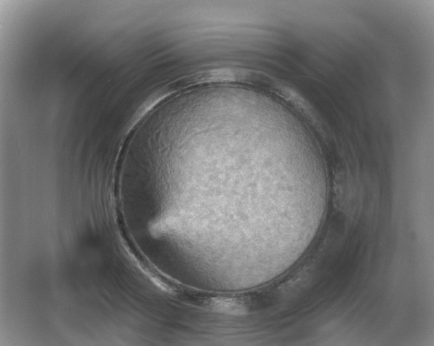 X0000067890794200604171336