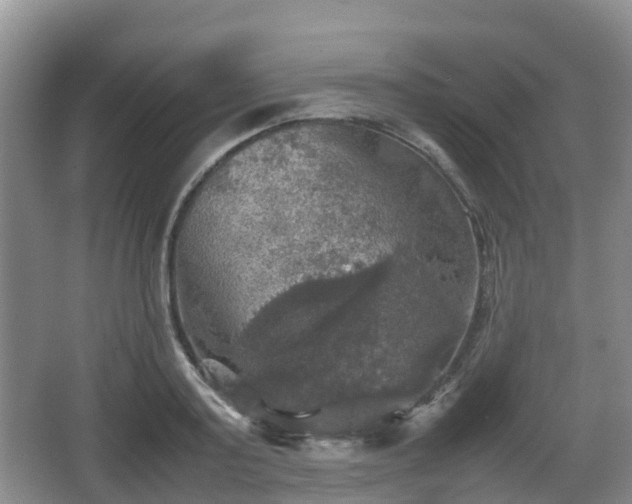 X0000067890795200604171336