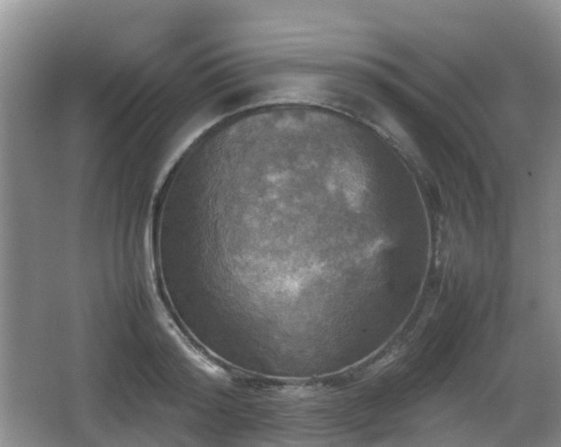 X0000067890796200604171336