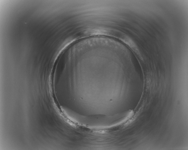 X0000067890798200604171336