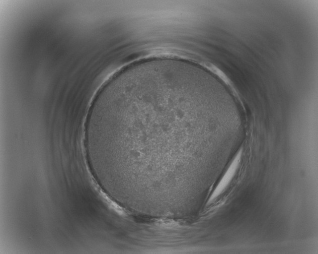 X0000067890799200604171336