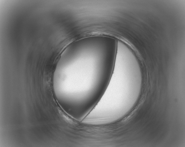 X0000067890801200604171336