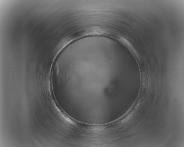 X0000067890802200604171336