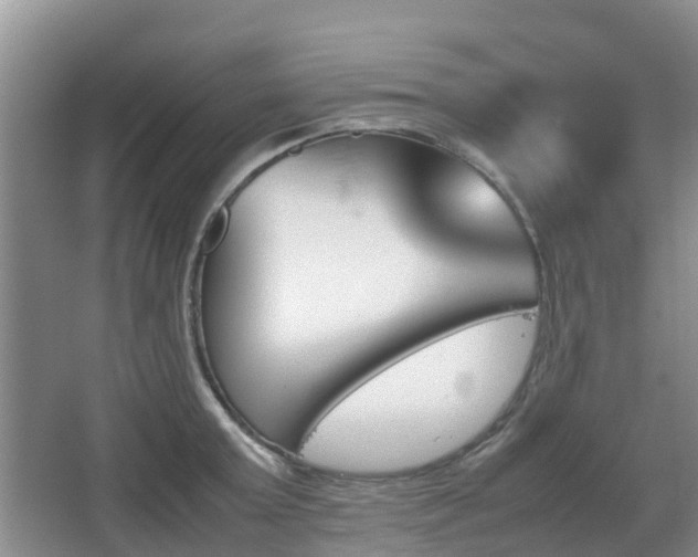 X0000067890803200604171336