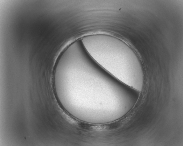 X0000067890805200604171335